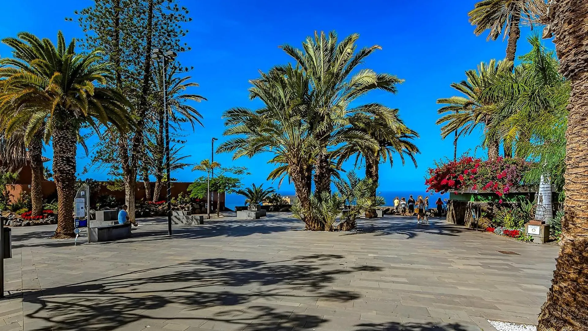 Διαμέρισμα Estudio Con Vistas Ciudad Πουέρτο Ντε Λα Κρουζ Ισπανία
